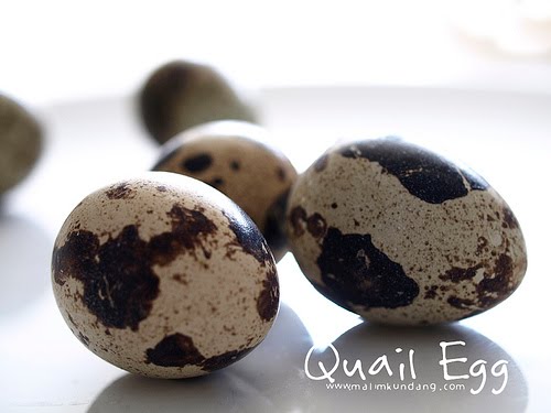 All about calories and foods in Malaysia: Quail egg