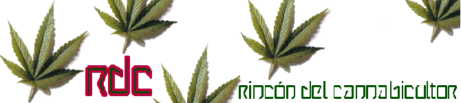 Rincon del cannabicultor