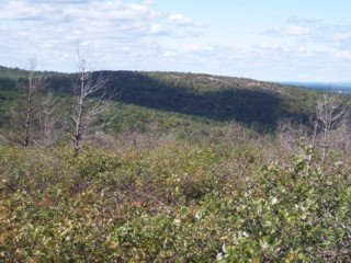 photo of Boston skyline from Buck Hill (Blue Hills Reservation) photo of Boston skyline from Buck Hill (Blue Hills Reservation)