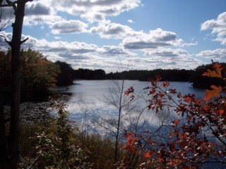 photo of Wright's Pond, Medford, MA photo of Wright's Pond, Medford, MA