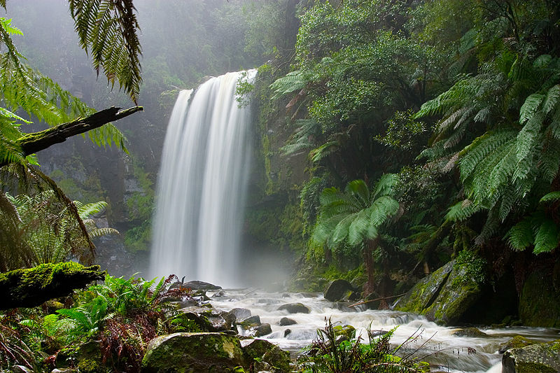 [800px-Hopetoun_falls.jpg]