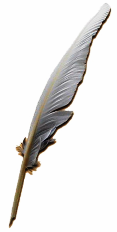 [Quill_pen.PNG]