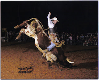 Thanks to rjlouise for lyrics
Sunday, October 12, 2008
BIG BULL RIDER........
![