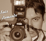 LUIS SANDOVAL CASTAGNOLI