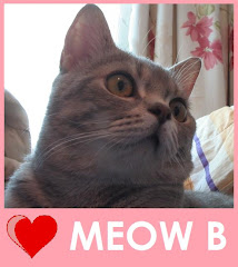 My Cat - Meow B