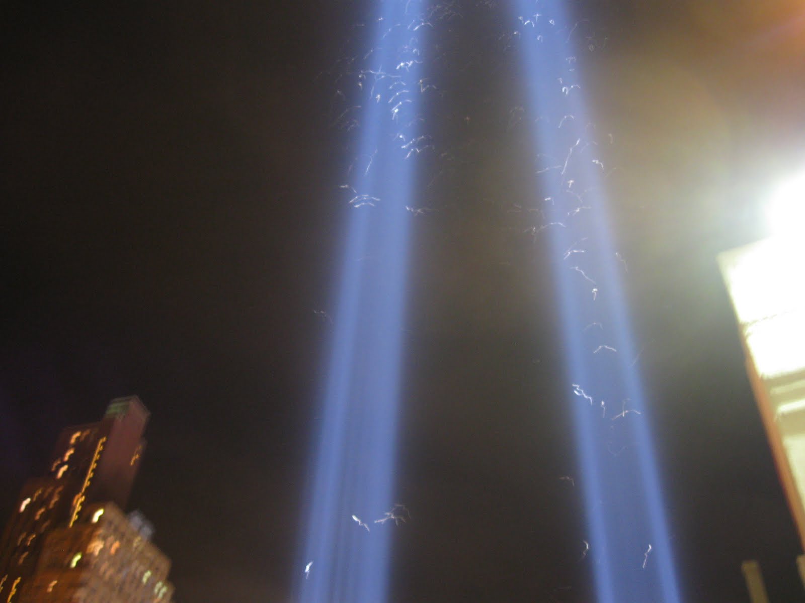 World+trade+center+lights+new+york+city