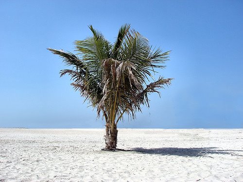 [desert+island.jpg]