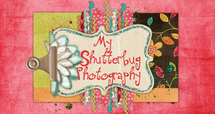 My Shutterbug Photography