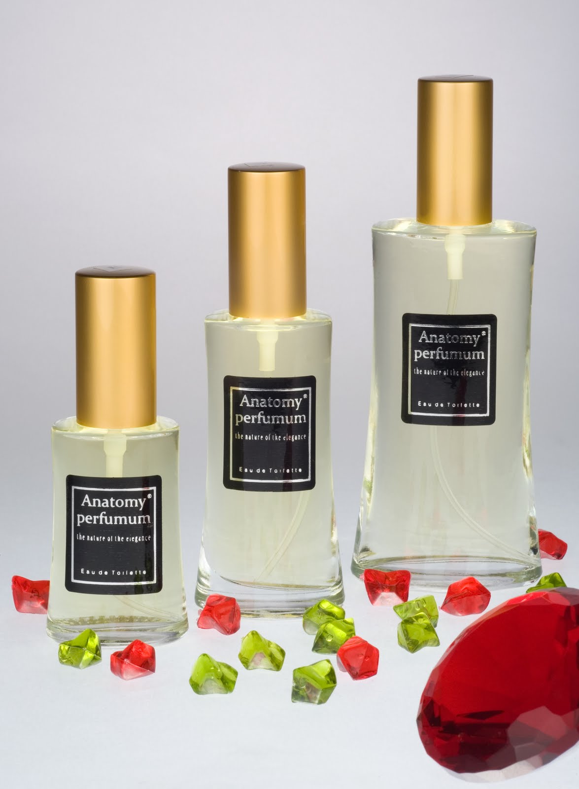 Hediyeye Dair Herşey Mart 2010