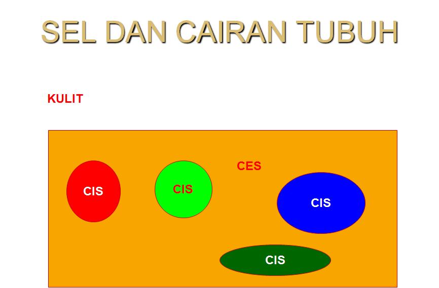 Cairan Tubuh