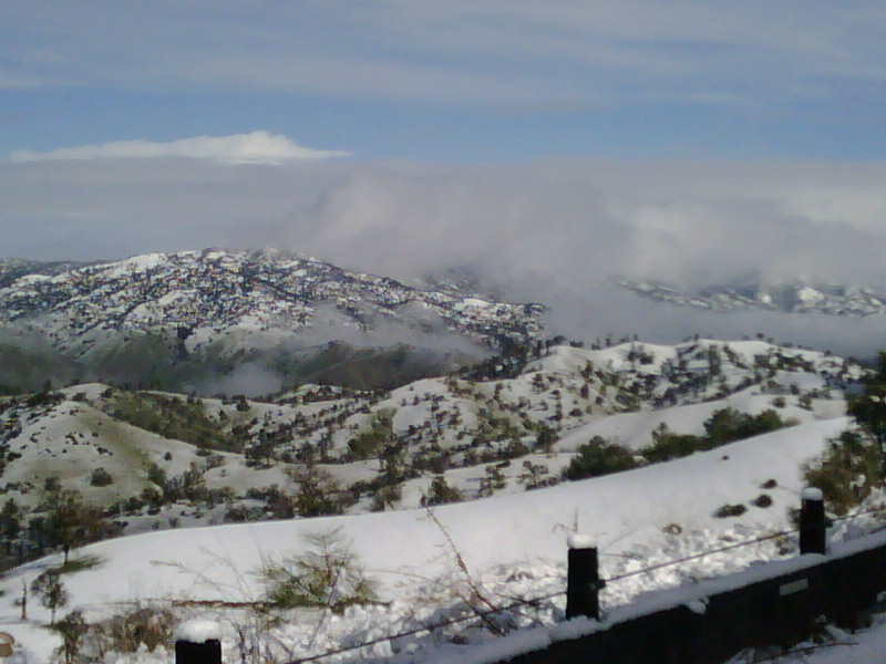 [IMG00038-20100122-1014.jpg]