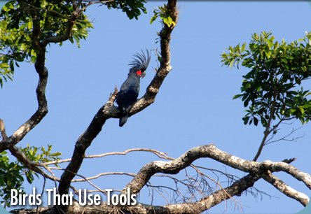 [header_tools.jpg]