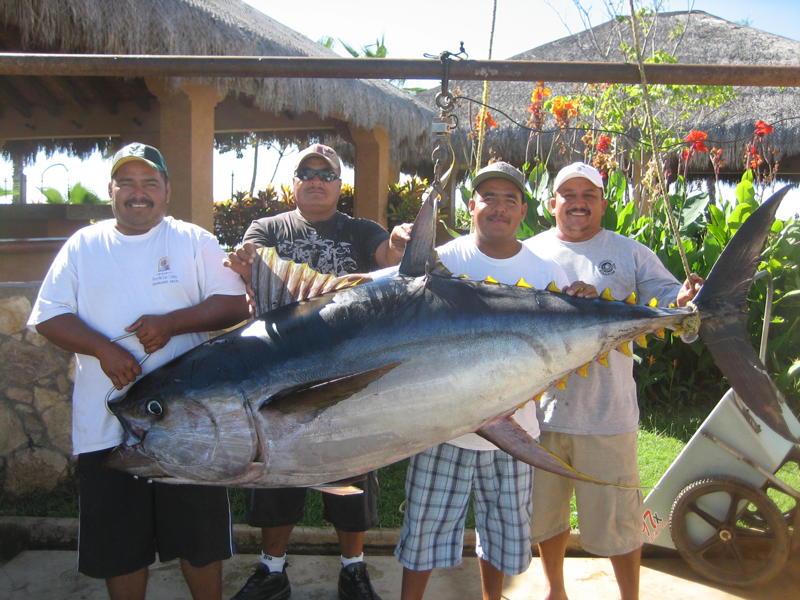 Pisces Fleet Sportfishing Blog Biggest Tuna of the Year Caught at