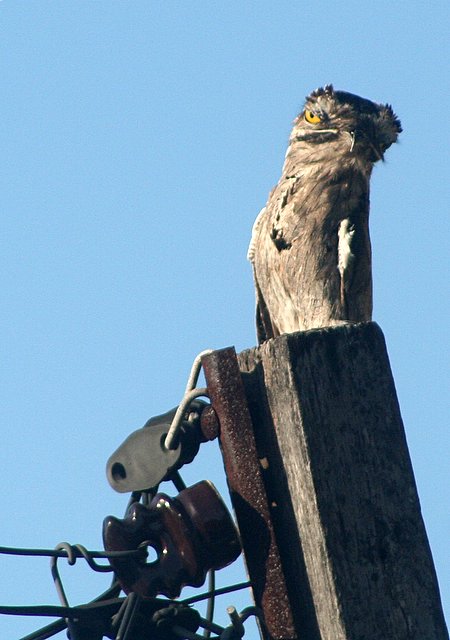 [IMG_7733.JPG]