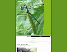 Creatures and Life (Click Here to View)