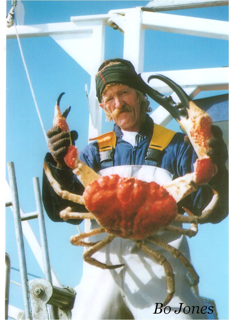 Australian Snow Crab