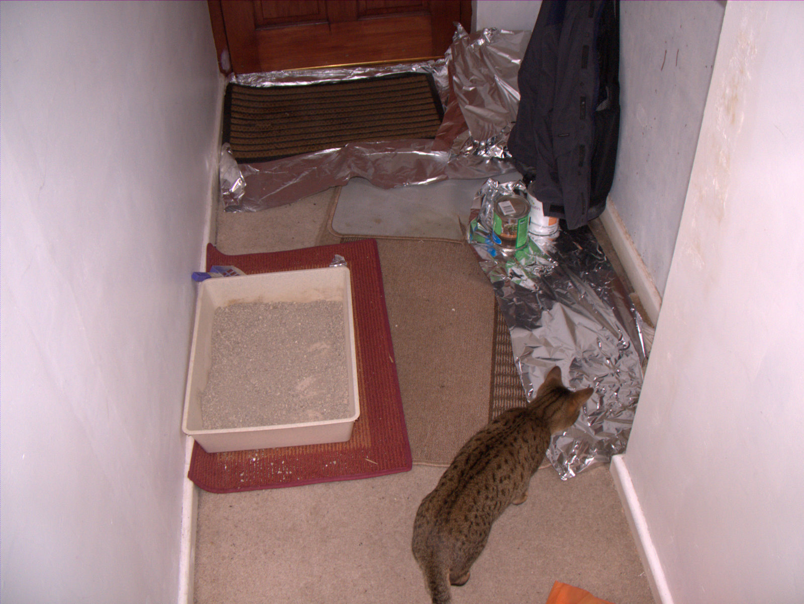 [DSCF5073.jpg]