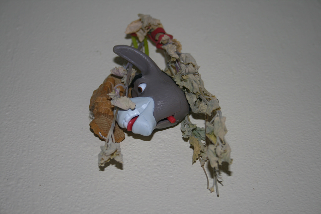 [catnip+hanging.JPG]