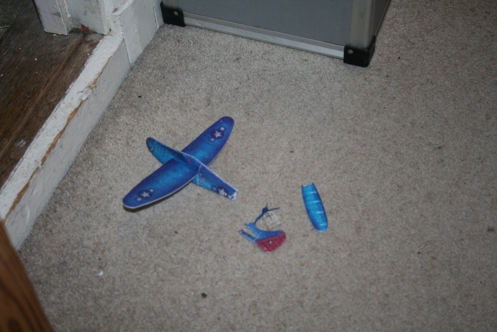 [polystyrene+toy+aeroplane+after+cat+-2.JPG]
