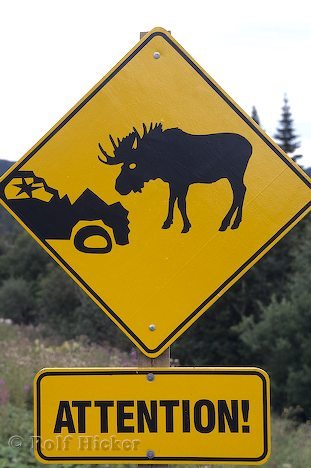 funny road signs. funny signs on the road.