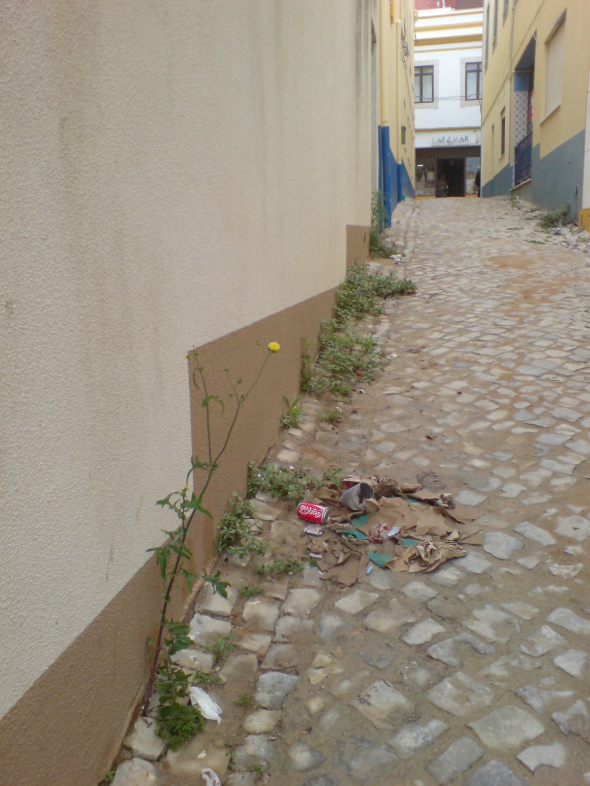 [DSC08831.JPG]