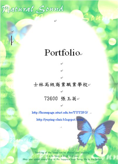 professional portfolio sample