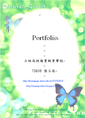 sample of a professional portfolio
