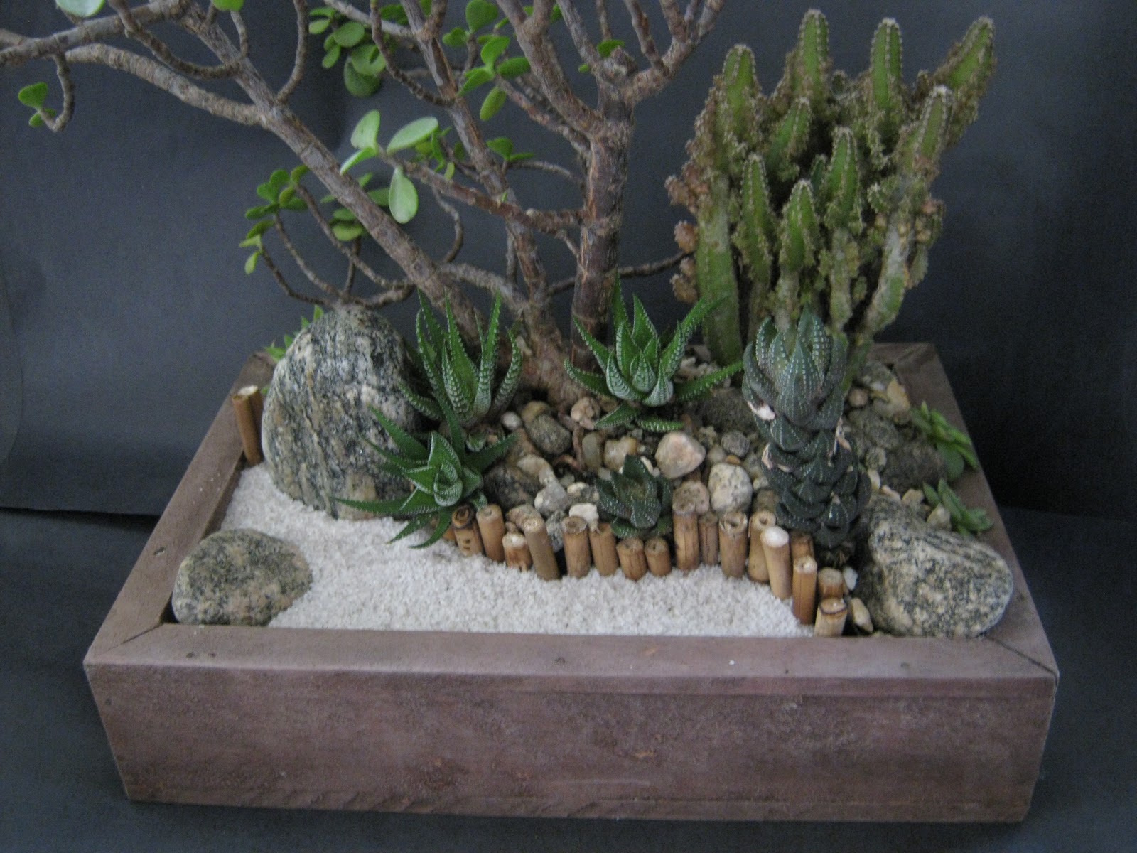 mini jardins no vidro: compartilhar no twitter compartilhar no facebook compartilhar com o mini jardins no vidro: compartilhar no twitter compartilhar no facebook compartilhar com o