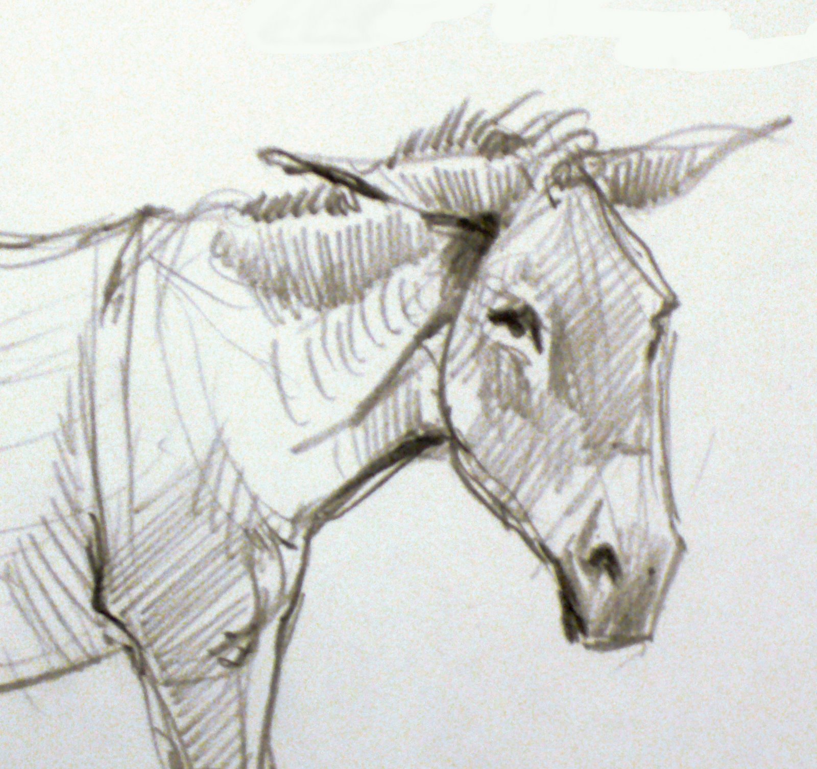 [Donkey+Study+08.jpg]