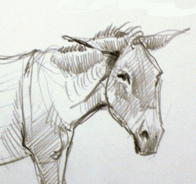 Donkey+head+drawing