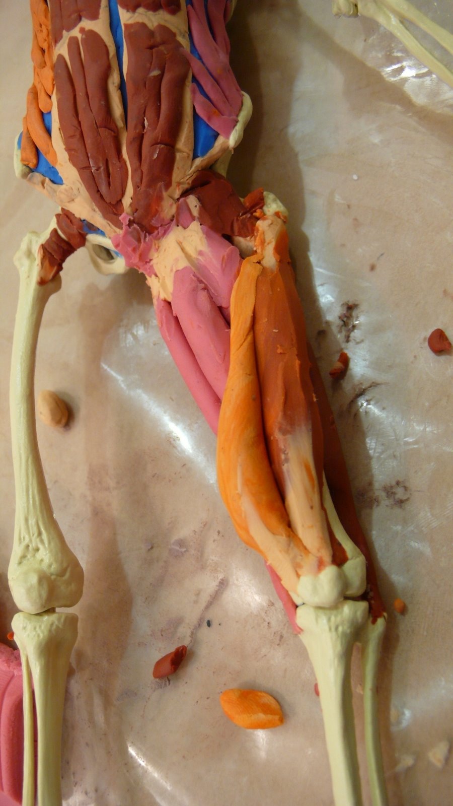 [P1050090.JPG]