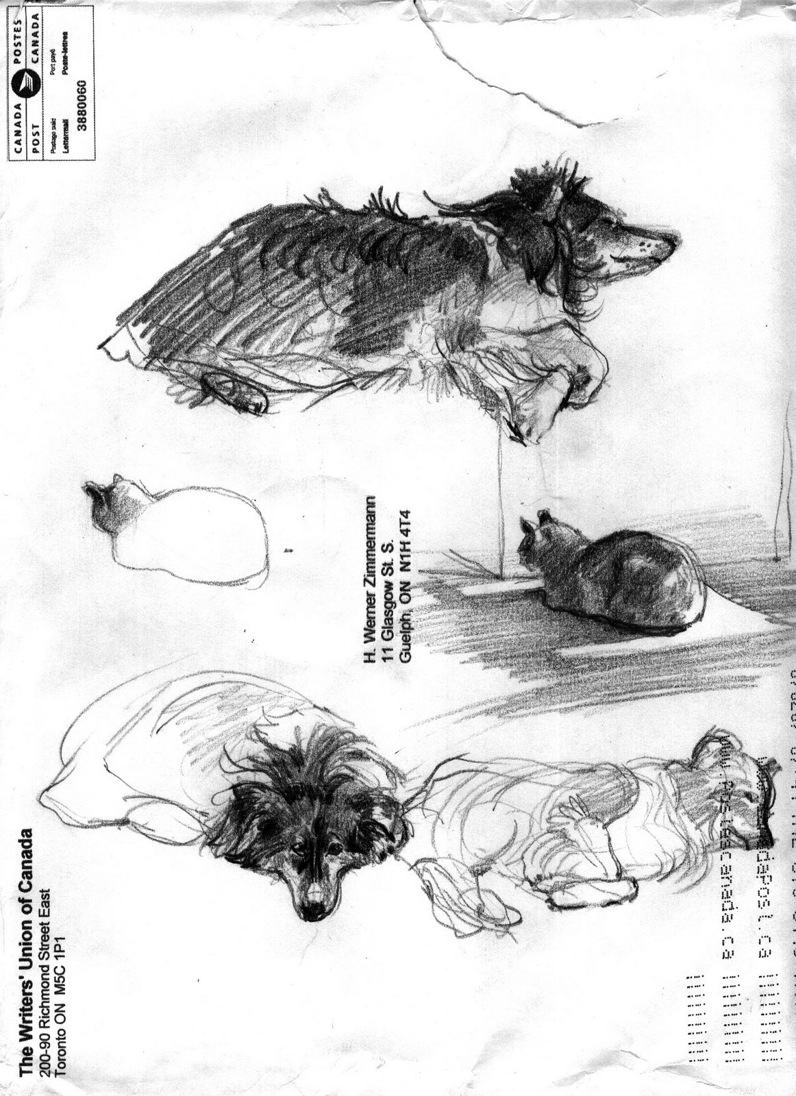 [Mouse+&+Prince+envelope+sketch.jpg]