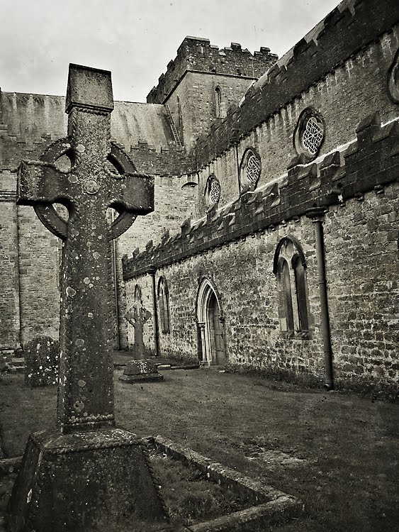 [IMG_1580copy.jpg]