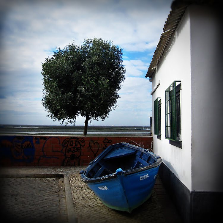 [IMG_2453copy.jpg]