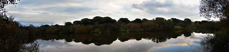 [ElRocioPano2.jpg]