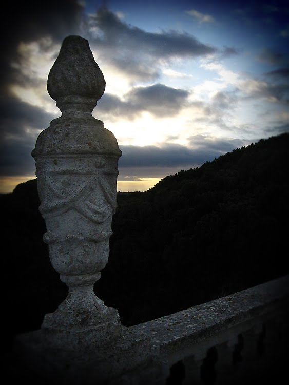 [IMG_2603.jpg]