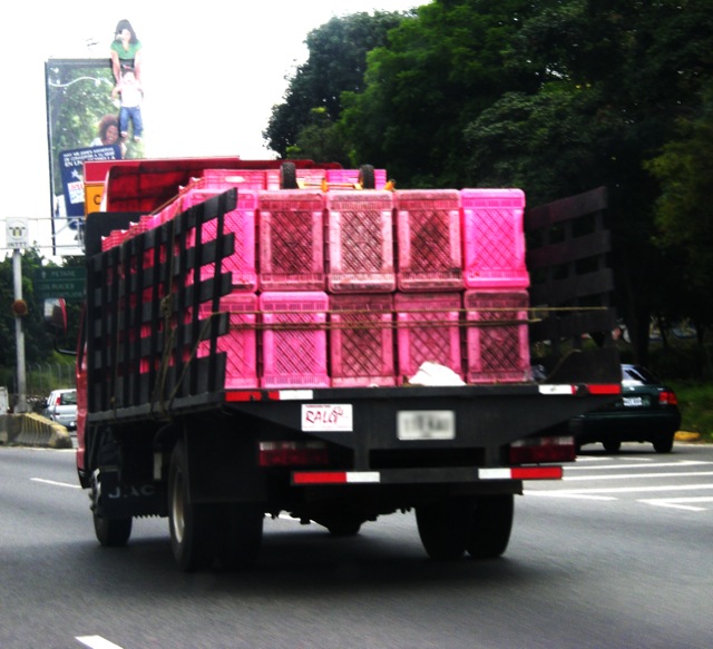 [camion+copy.JPG]