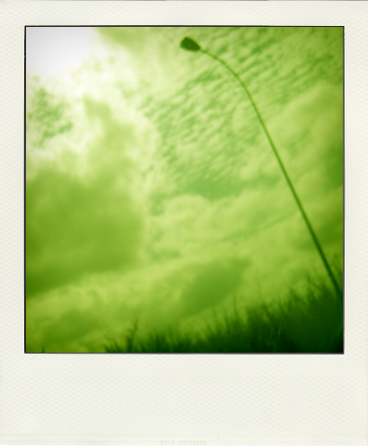 [DSCN8841.pola.png]