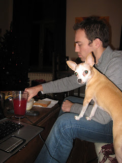 Dotson Chihuahua