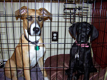 Max & Sadie In Jail