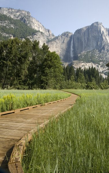 [Yosemite+Yosemite+falls+from+meadow.jpg]