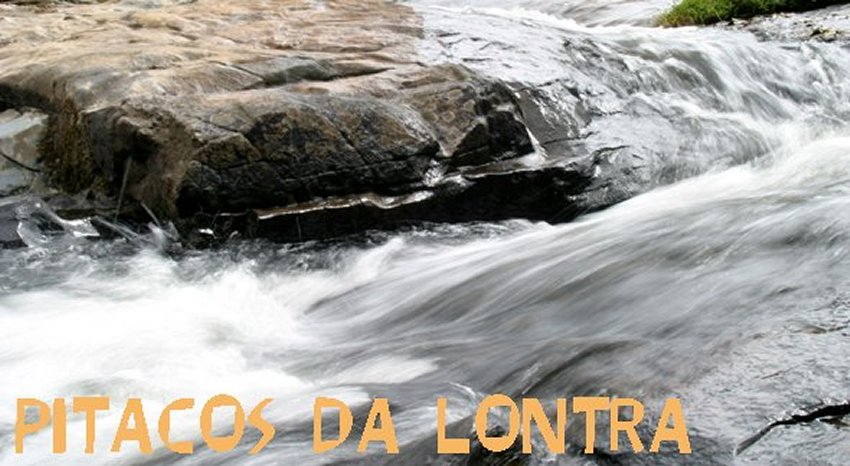 PITACOS DA LONTRA