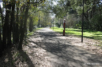 South on the Stadium Drive Bike Trail behind the scholarship houses. Stadium Drive Trail