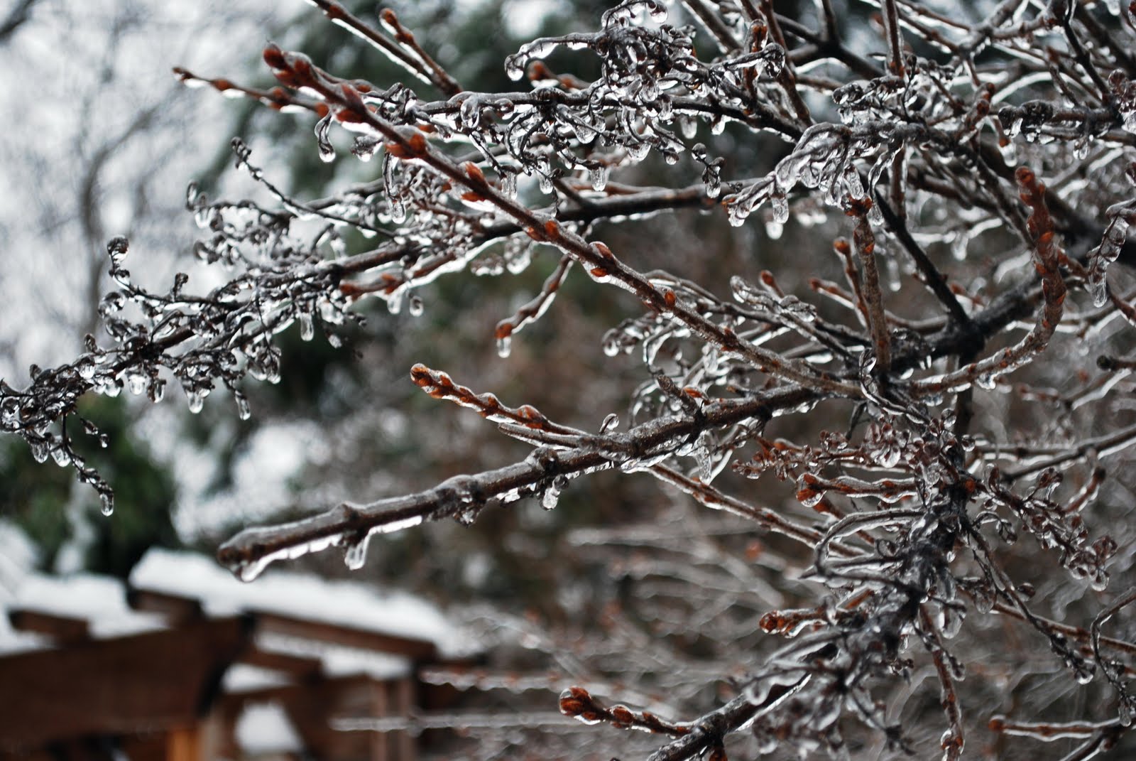 [Winter+09+022+(2).jpg]