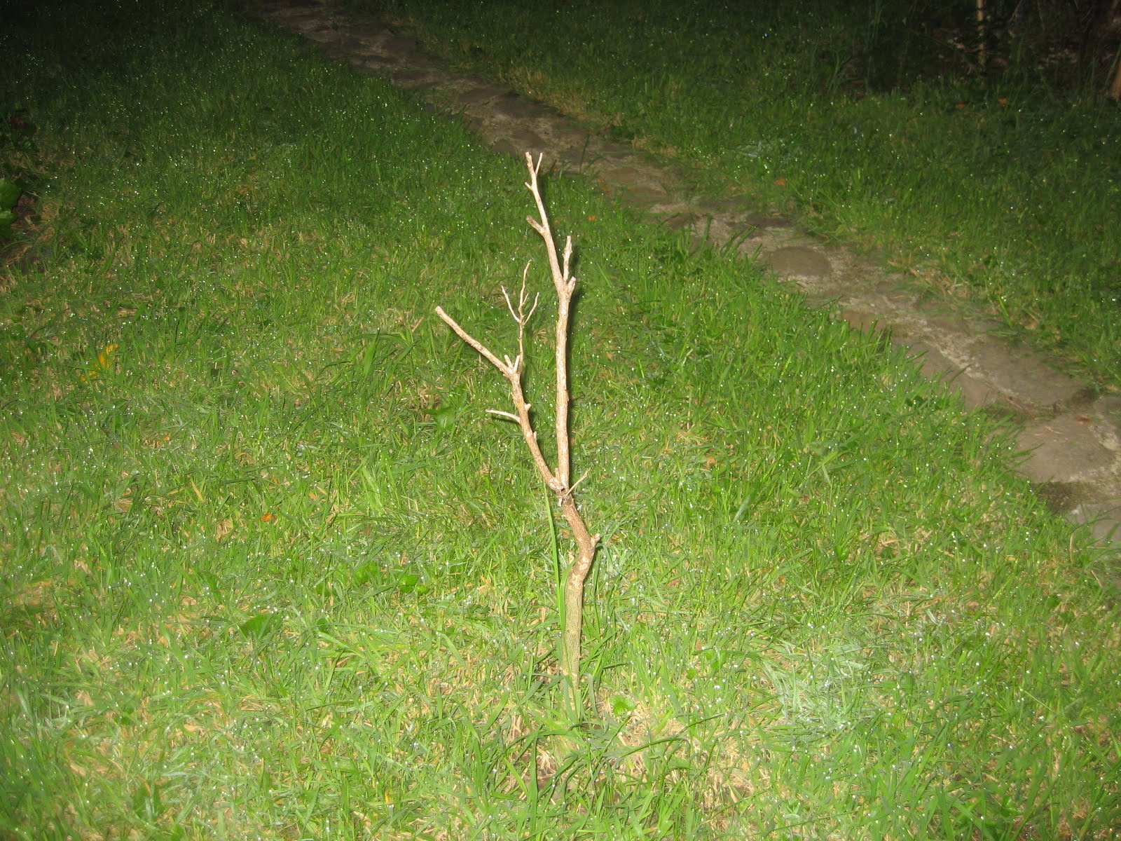 [IMG_4576.JPG]