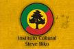 STEVEBIKO