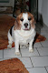 Mein Bild