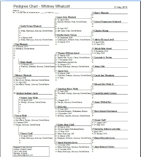 making family connections my five generation pedigree chart making pedigree chart