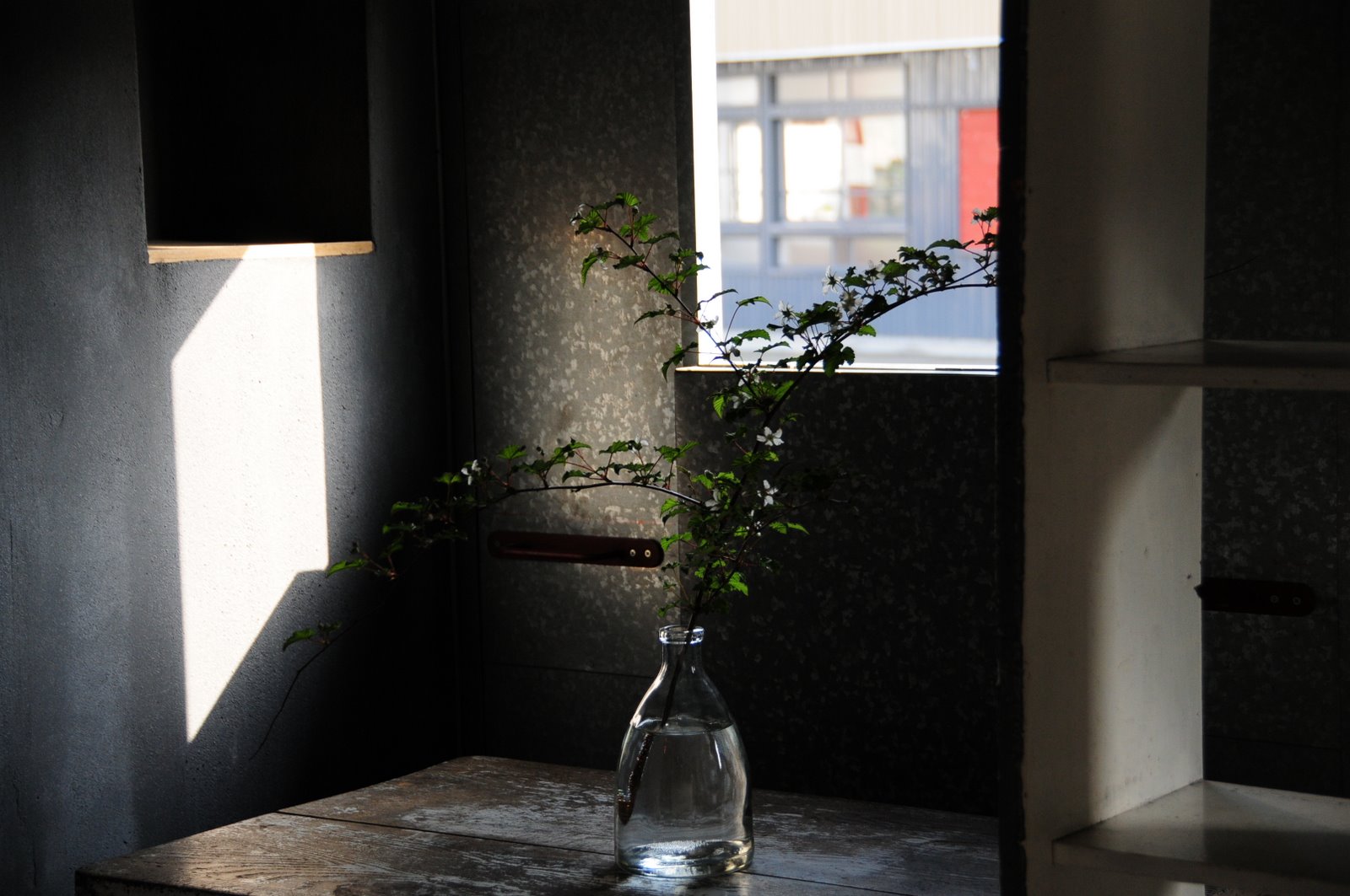 [DSC_0372.JPG]
