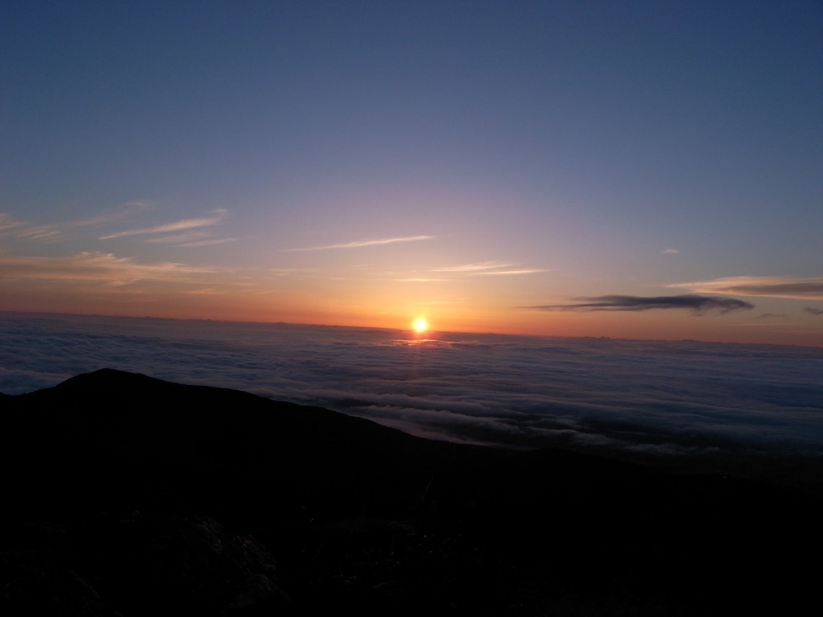 [R0011383.JPG]